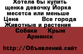 Хотела бы купить щенка девочку Йорка 2 месетса или меньше › Цена ­ 5 000 - Все города Животные и растения » Собаки   . Крым,Армянск